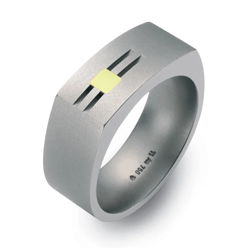 Titanium Rings with a Matte and Gloss Dual - Finish Design50877-01 TeNo Titanium Ring Titanium Rings with a Matte and Gloss Dual - Finish Design50877-01 TeNo Titanium Ring
