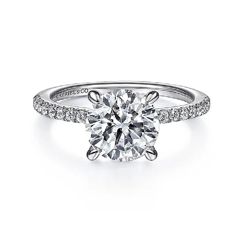 Princess - Cut Women's Diamond Rings in White Gold with a High - Clarity Diamond for a Modern Look14K White Gold 'Broderick' Classic Round Diamond Engagement Ring Princess - Cut Women's Diamond Rings in White Gold with a High - Clarity Diamond for a Modern Look14K White Gold 'Broderick' Classic Round Diamond Engagement Ring