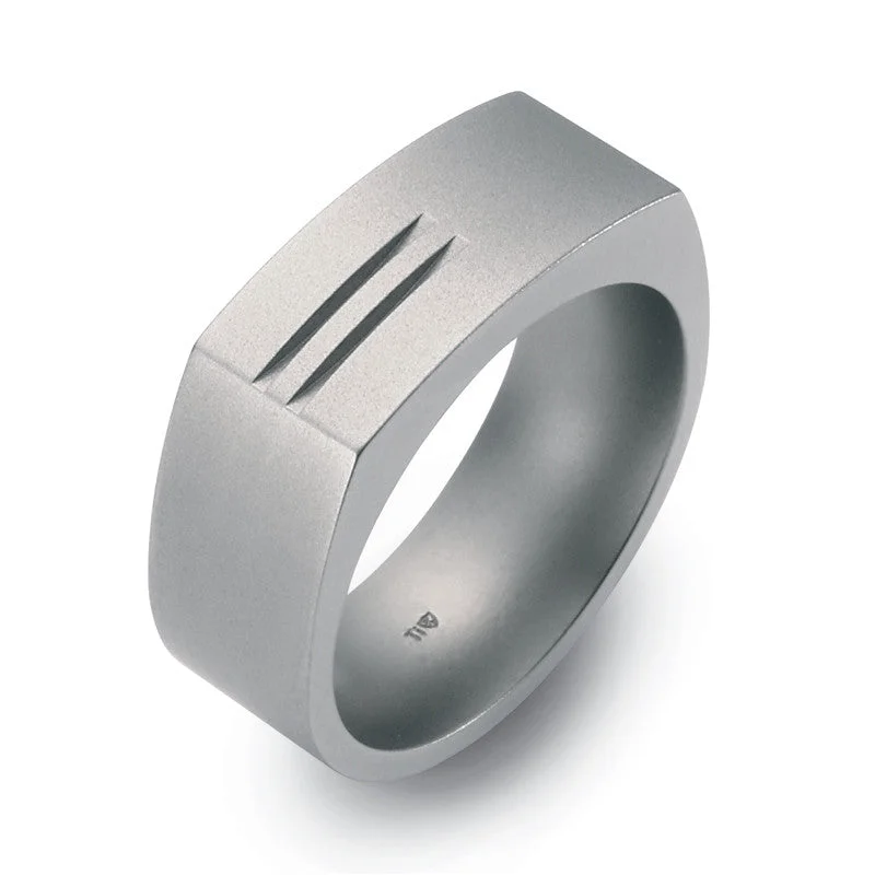 Titanium Rings with a Channel - Set Gemstone Band51015-01 TeNo Titanium Ring