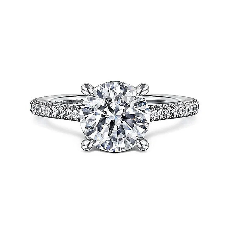 Cathedral - Style Women's Diamond Rings with a Raised Center Setting and Elaborate Metalwork14K White Gold 'Aline' Round Diamond Hidden Halo Engagement Ring Cathedral - Style Women's Diamond Rings with a Raised Center Setting and Elaborate Metalwork14K White Gold 'Aline' Round Diamond Hidden Halo Engagement Ring
