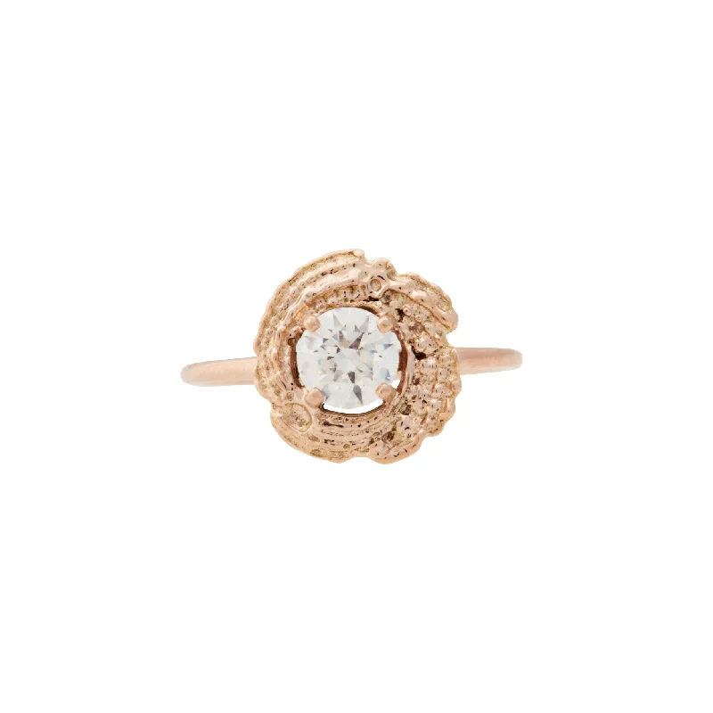 Engagement Rings ~ Small Shell Ring