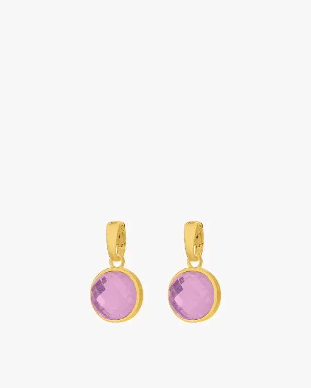 February Devotion Birthstone Signature Earring Pendants